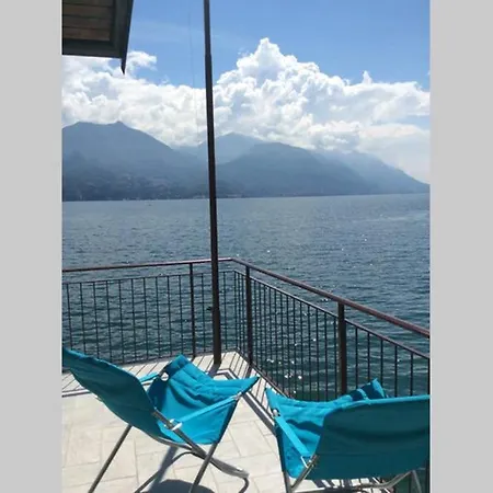 Damia, Independent With Direct Lake Access